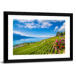 Lavaux Wine Region Wall Art