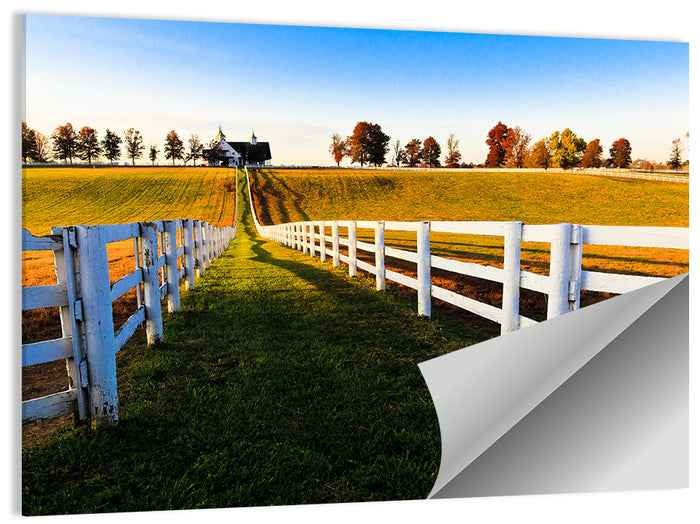 Kentucky Horse Farm at Golden Hour Wall Art as a poster print