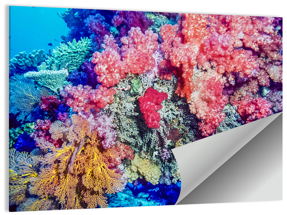 Vibrant Coral Reef Wall Art