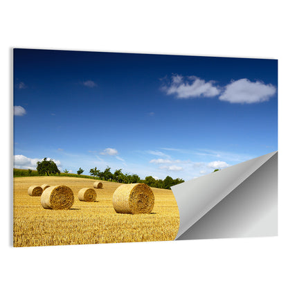 Late Summer Straw Bales Wall Art