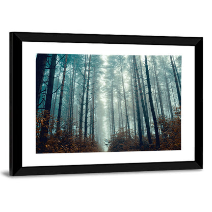 Misty Pine Forest Wall Art