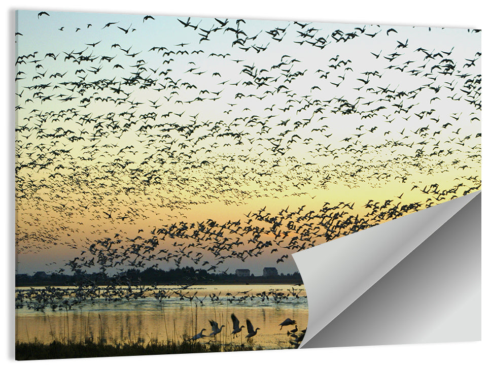 Snow Geese Over River Wall Art