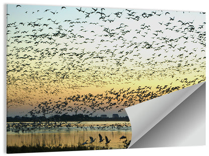 Snow Geese Over River Wall Art