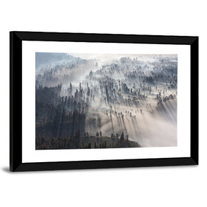 Foggy Forest Sunrise Wall Art