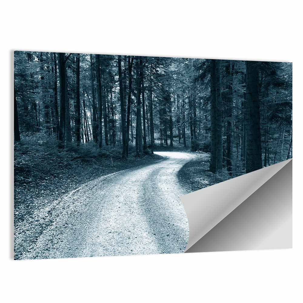 Sandy Forest Road at Dusk Wall Art