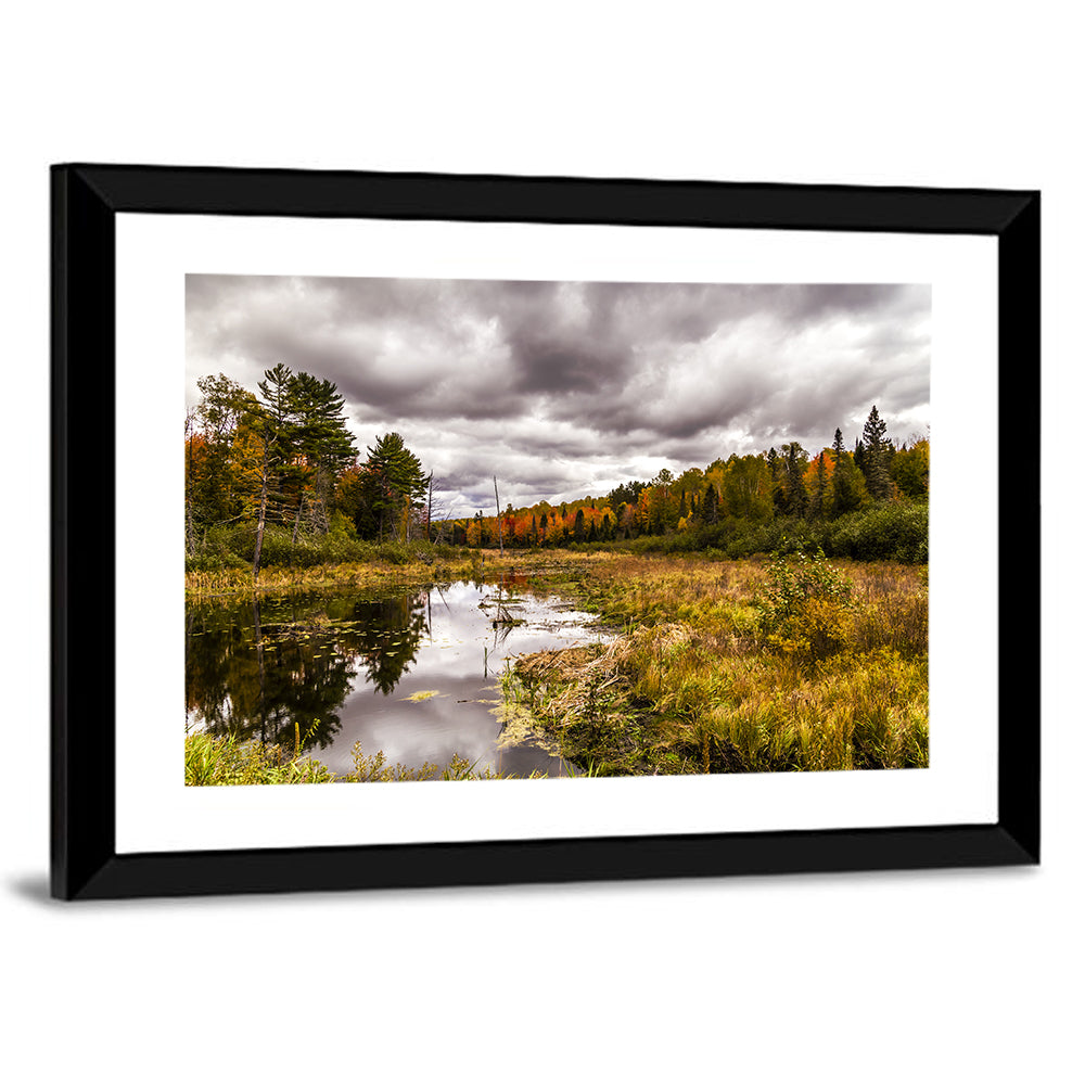 Michigan Autumn Marsh Wall Art