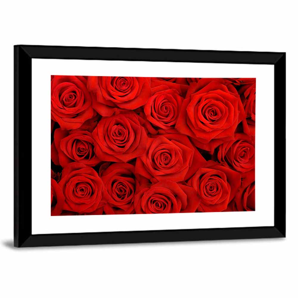 Red Roses Close Up Wall Art