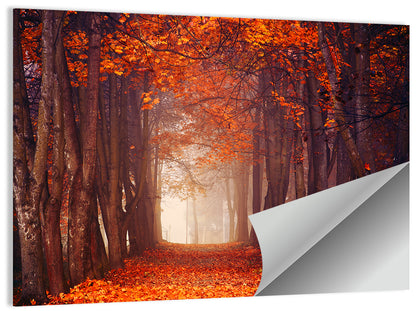 Misty Autumn Forest Path Wall Art