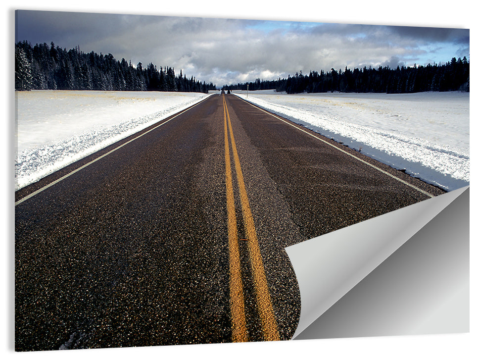 Winter Road Through Pine Forest Wall Art