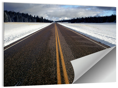 Winter Road Through Pine Forest Wall Art