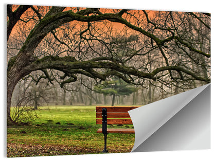 Misty Autumn Park Bench Wall Art