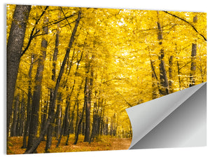 Yellow Autumn Forest Wall Art