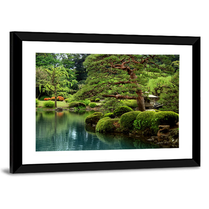 Bonsai Pine Over Tranquil Pond Wall Art as a framed print