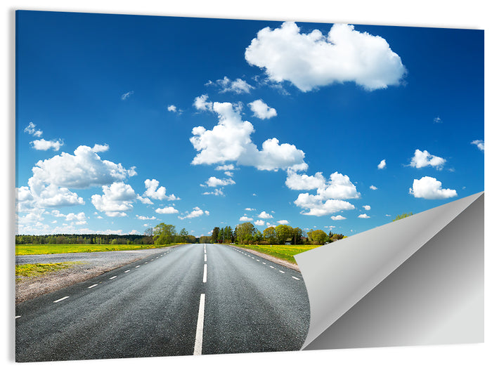 Asphalt Road Through Meadow Wall Art as a poster print