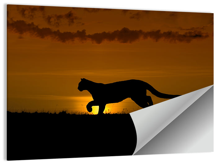 Cougar Silhouette at Sunset Wall Art as a poster print
