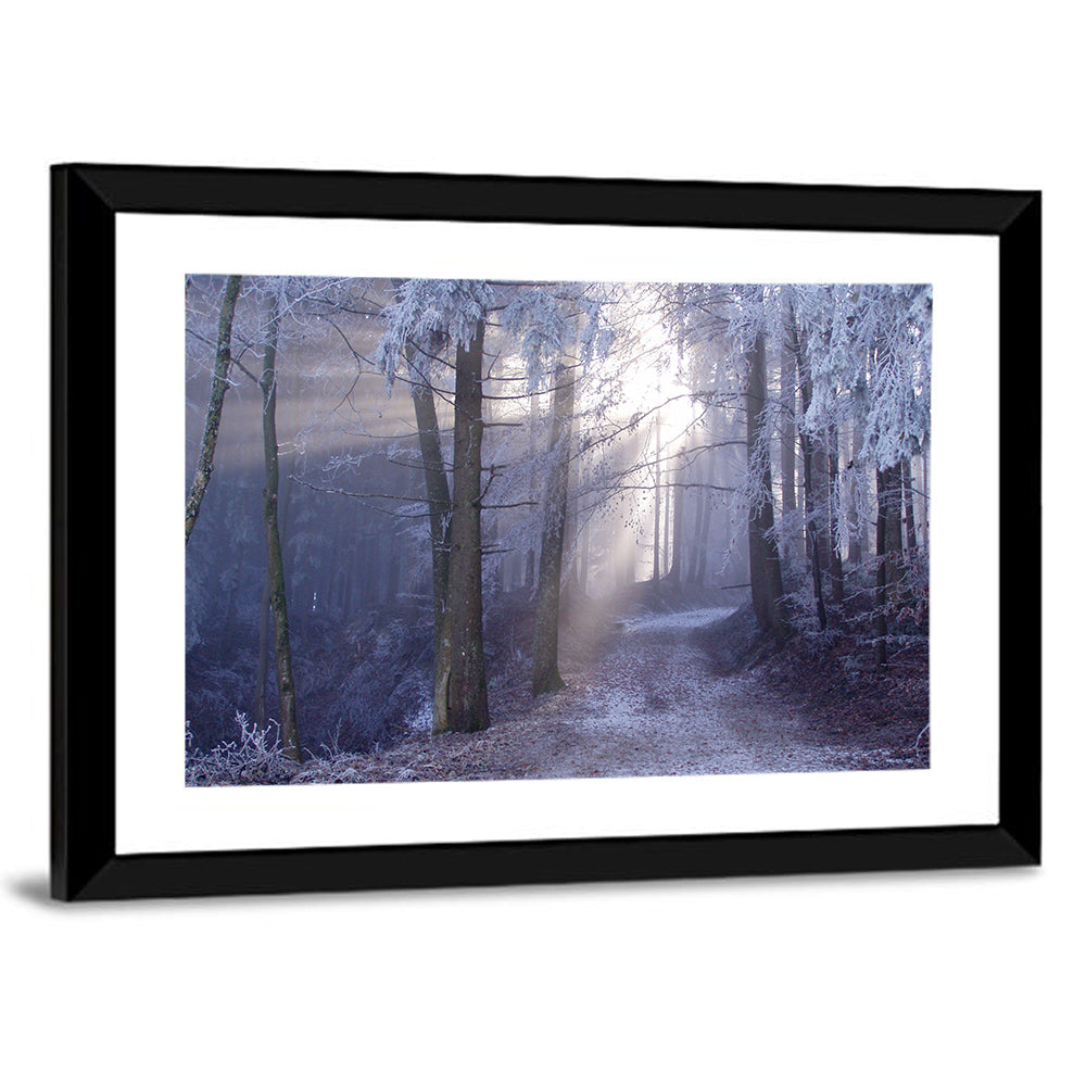 Frosted Forest Path at Dawn Wall Art