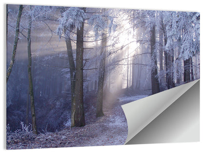Frosted Forest Path at Dawn Wall Art