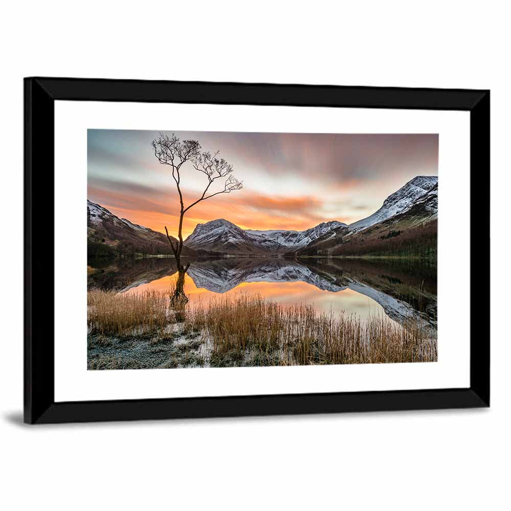 Lonesome Pine, Ullswater Sunrise Wall Art