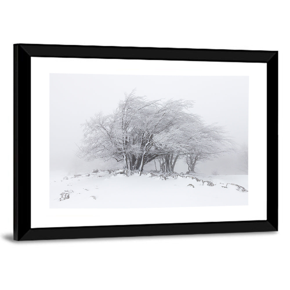 Rime Coated Winter Trees Wall Art