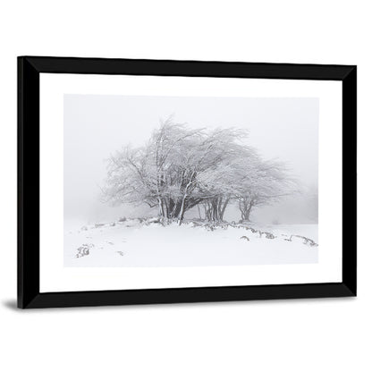 Rime Coated Winter Trees Wall Art