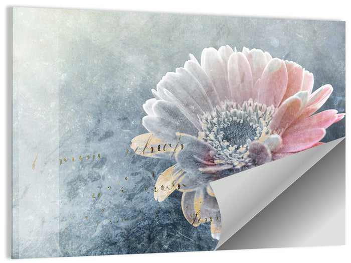 Winter Gerbera with Golden Script Wall Art as a poster print
