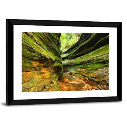 Turkey Run State Park Canyon Wall Art