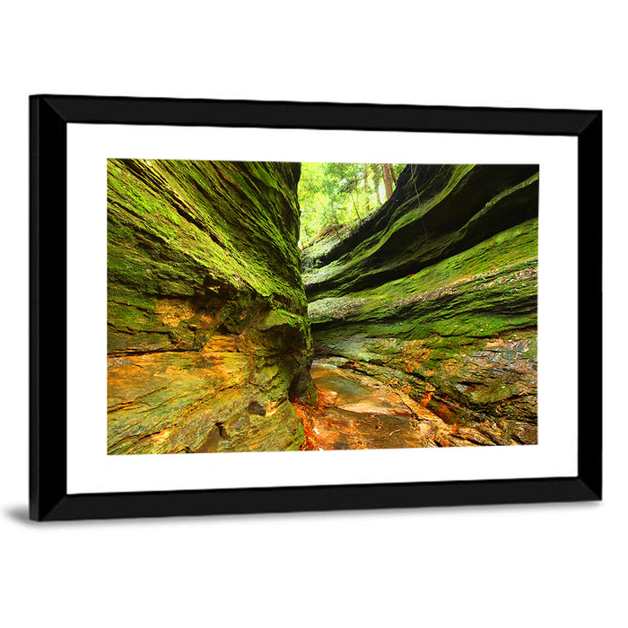 Turkey Run State Park Canyon Wall Art as a framed print