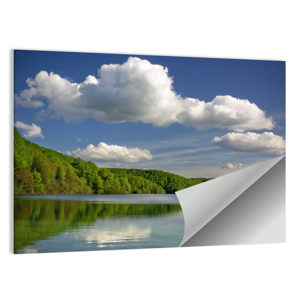 Plitvice Forest Lake Scene Wall Art