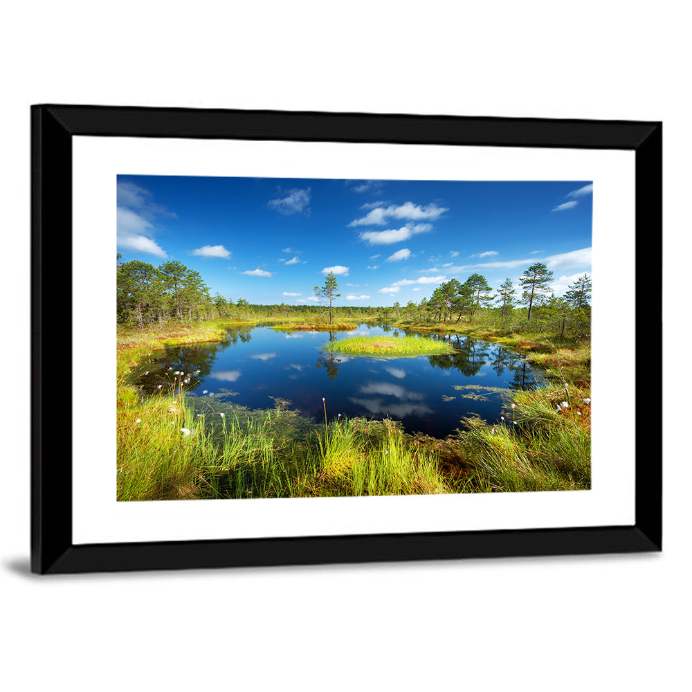 Viru Bogs Reflections Wall Art