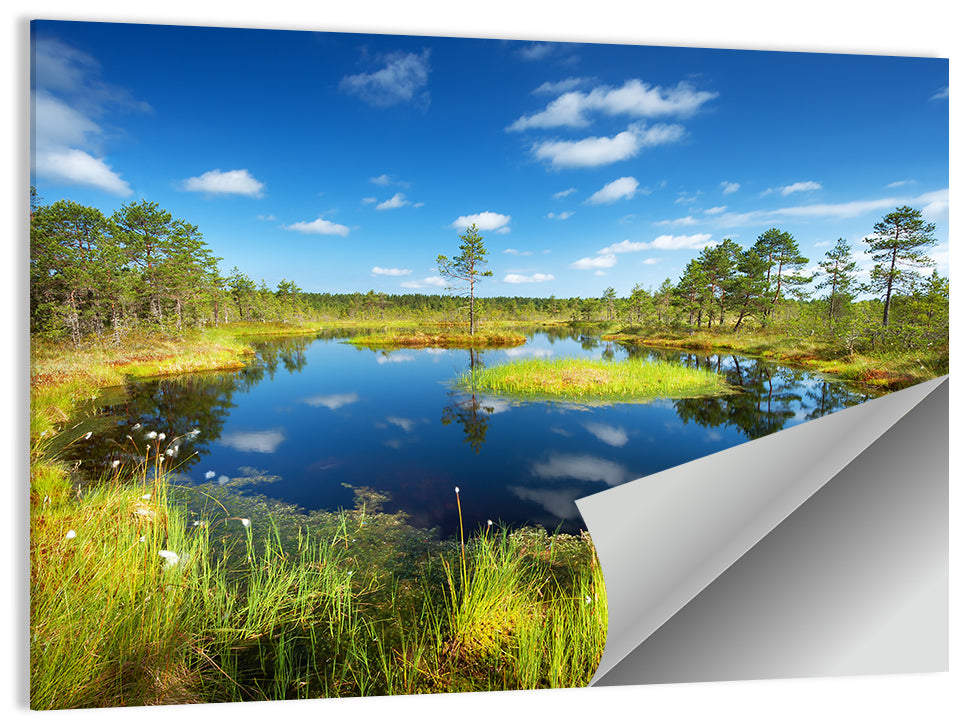 Viru Bogs Reflections Wall Art