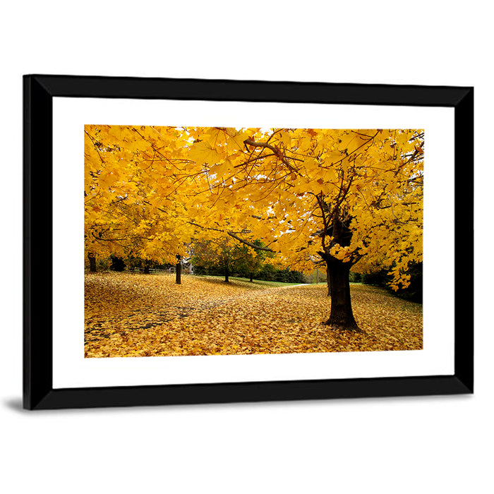 Baltimore Autumn Foliage Wall Art as a framed print