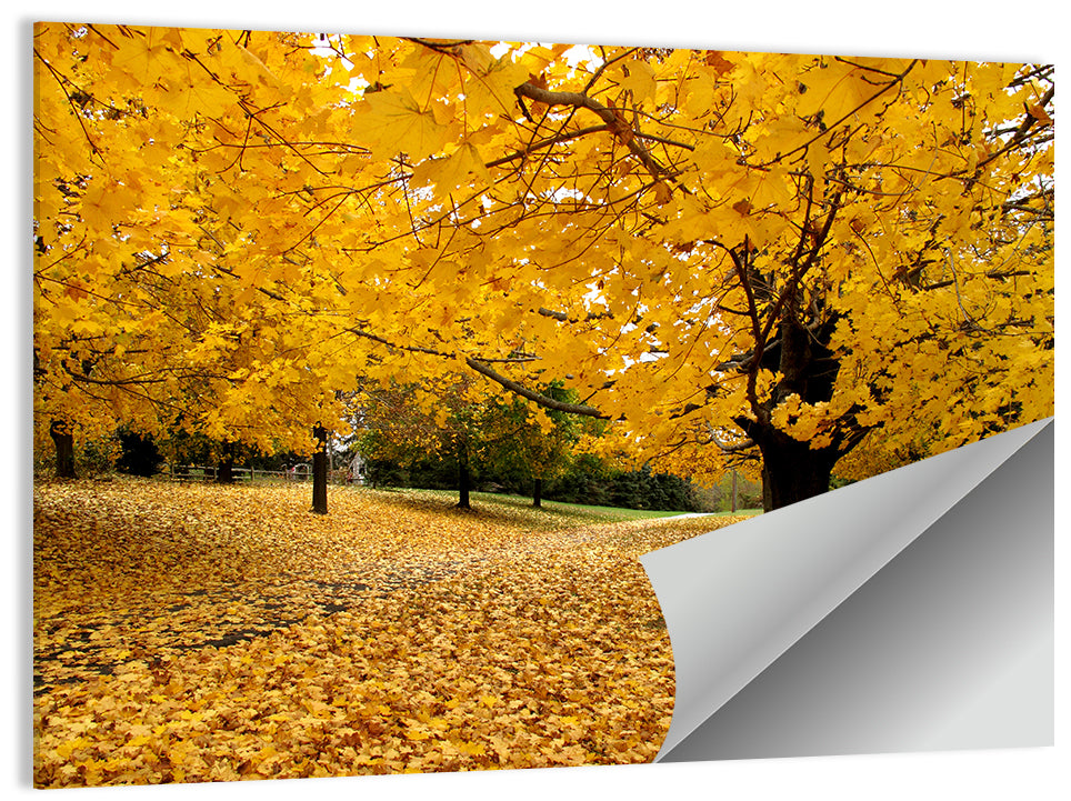 Baltimore Autumn Foliage Wall Art