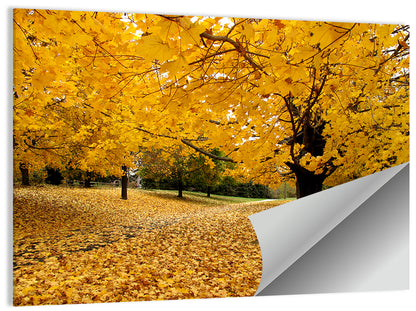Baltimore Autumn Foliage Wall Art