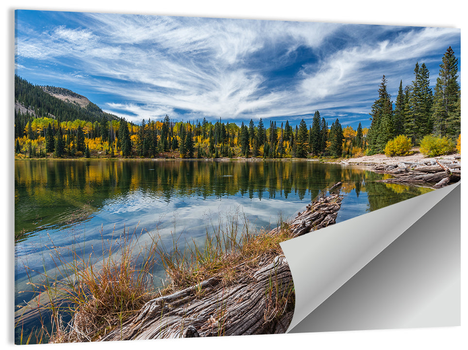 Autumn Lake Colorado Wall Art