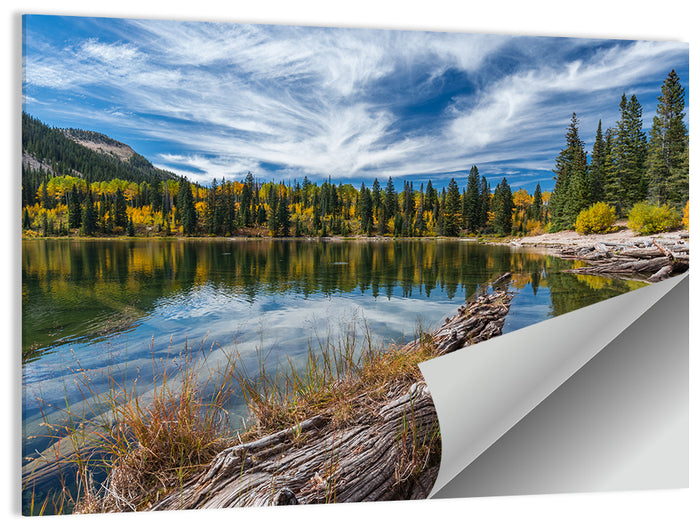 Autumn Lake Colorado Wall Art as a poster print