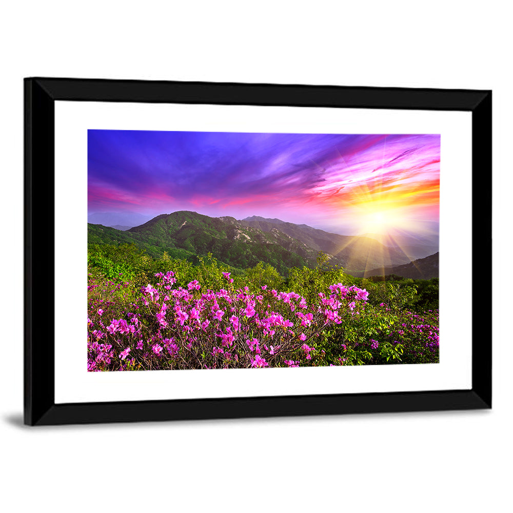 Hwangmaesan Mountain Sunset Wall Art