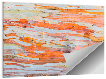 Abstract Eucalyptus Bark Layers Wall Art