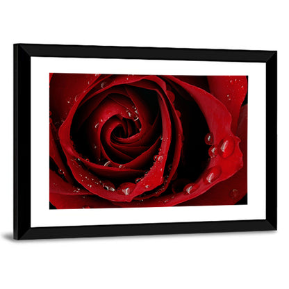 Red Rose with Dew Drops Wall Art