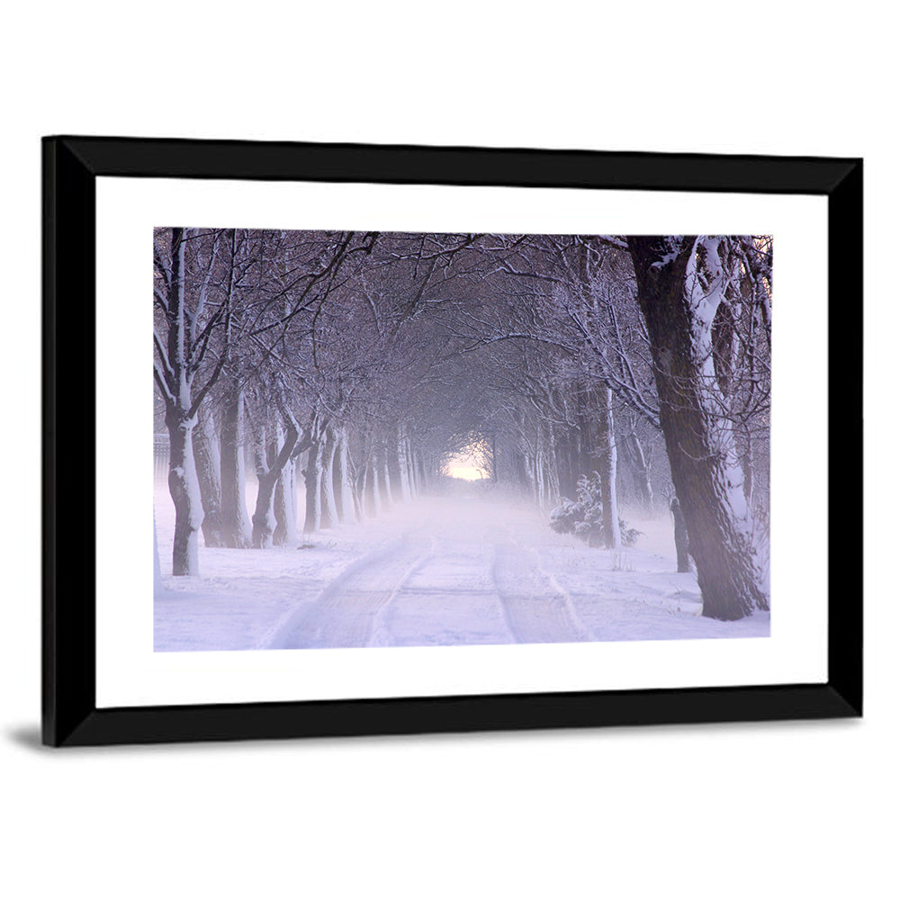 Kuressaare Park Snowy Path Wall Art