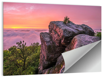 Pine Mountain Trail Wall Art
