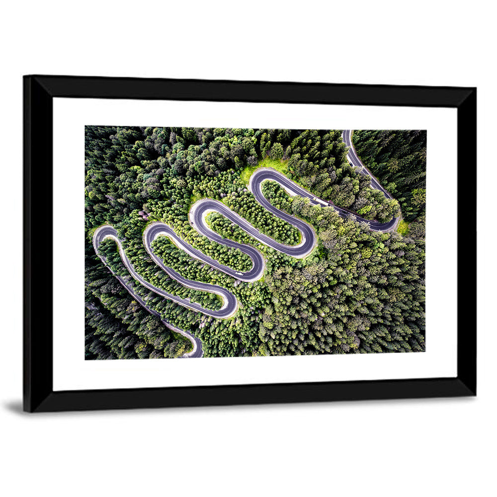 Serpentine Mountain Road Wall Art