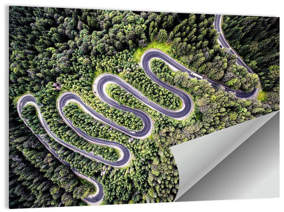 Serpentine Mountain Road Wall Art