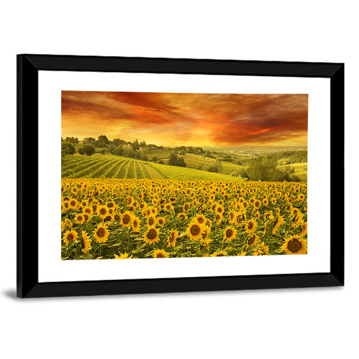 Sunflower Field at Golden Hour Wall Art as a framed print