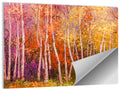 Vibrant Autumn Birch Grove Wall Art