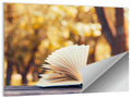 Open Book in Golden Autumn Light Wall Art