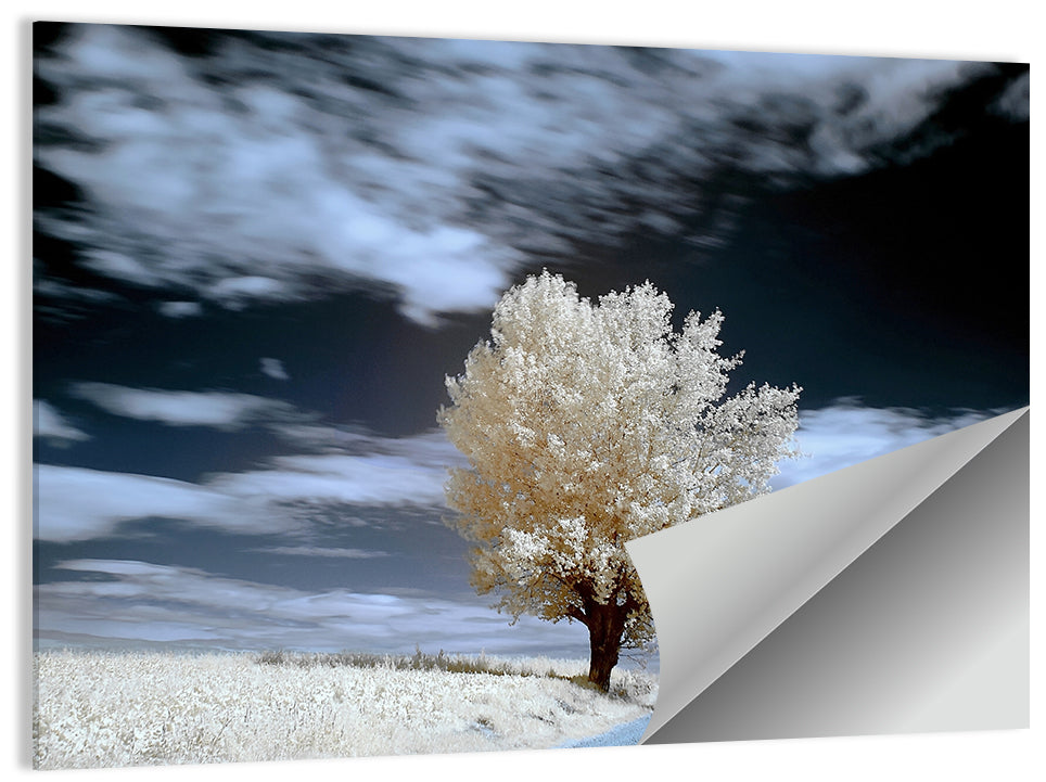Infrared Winter Willow Tree Wall Art