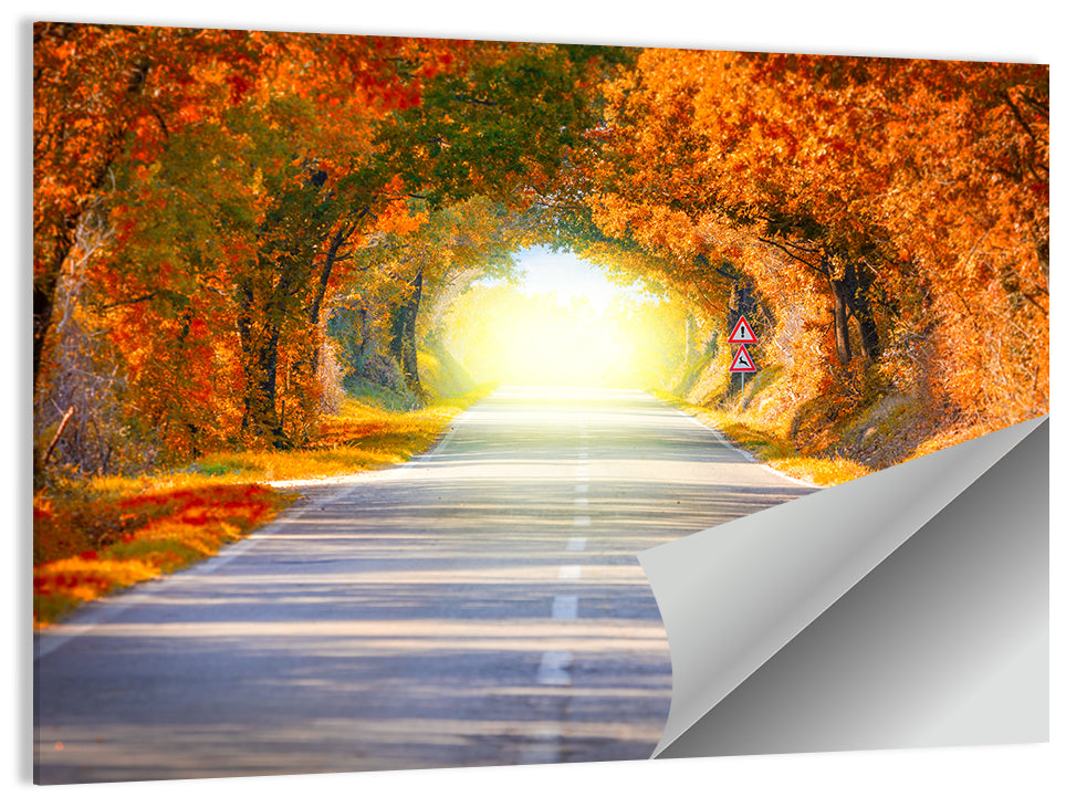 Golden Autumn Tree Tunnel Wall Art