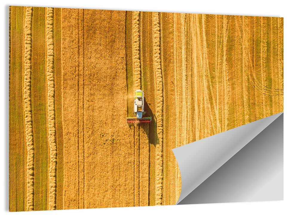 Aerial Wheat Harvest Wall Art