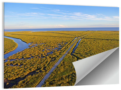 Delaware Bay Marshland Aerial Wall Art