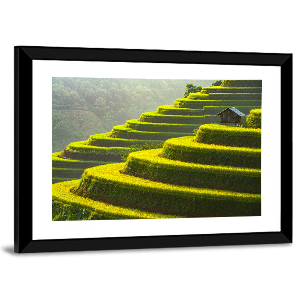 Golden Rice Terraces Wall Art